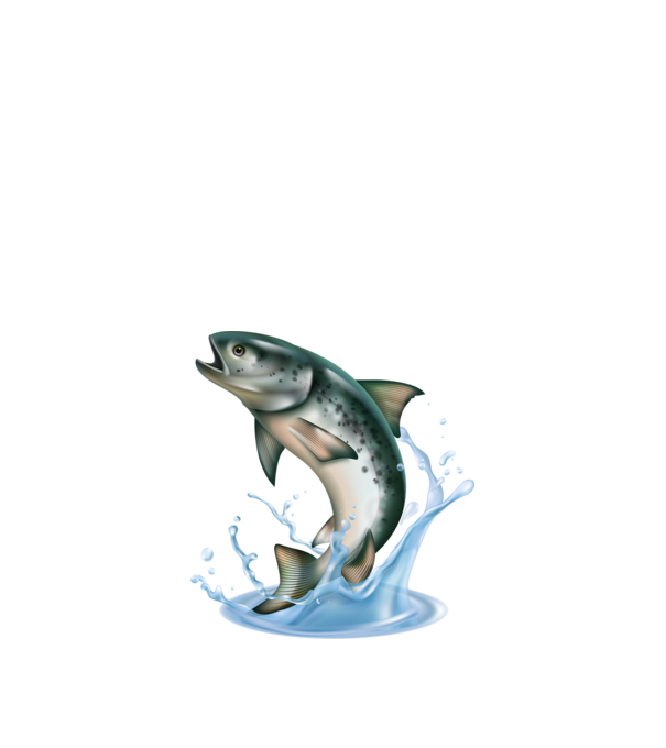  minta királykék pólón