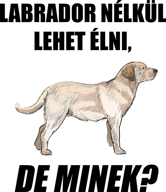 Labrador nélkül lehet élni, de minek?