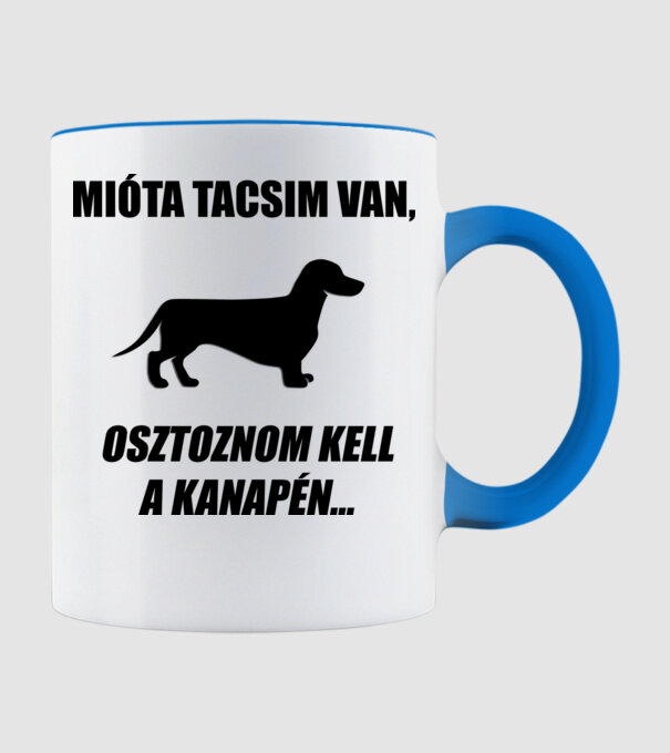  minta világoskék pólón